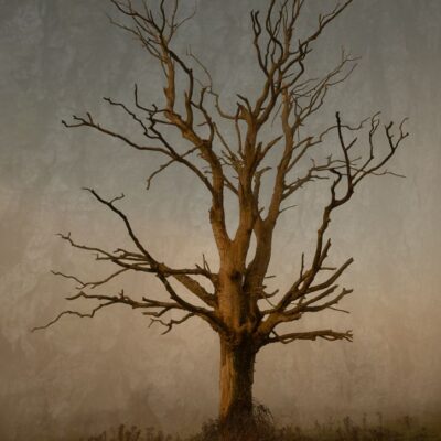 Post Apocalypse BrianMaguire CPA resized